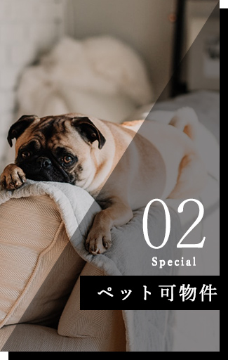 ペット可物件